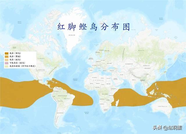 白头翁雏鸟黏人:雏鸟粘了“人气”活不长，是怎么回事呢？ 白头翁雏鸟粘人吗