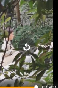 狗仔之王x17臭名昭著:除了卓伟，还有哪些狗仔值得关注？