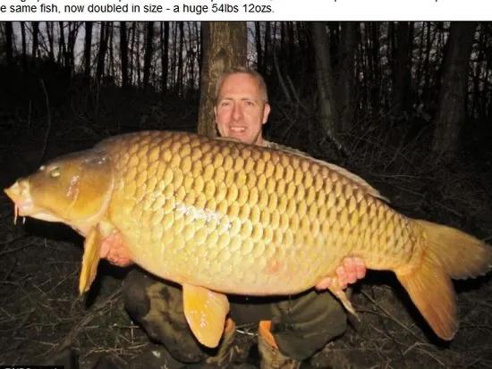 头条问答 - 重庆鲤鱼"莽子"被偷,您觉得小偷应该受到什么惩罚?