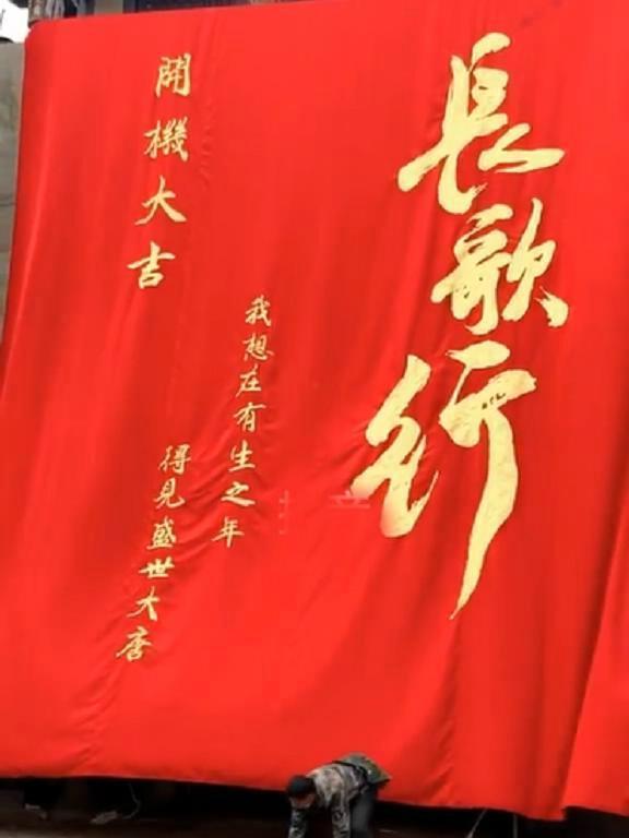 阿史那隼:如何评价电视剧《长歌行》中吴磊饰演的阿诗勒隼？