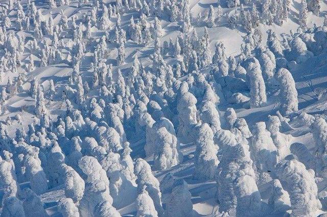 世界十大水怪，贝加尔湖为什么那么深湖底是什么结构湖底有什么生物没有