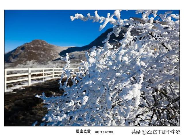 霍思燕与黄奕:为什么说黄毅清如果没坐牢，黄奕不敢参加《怦然再心动》？