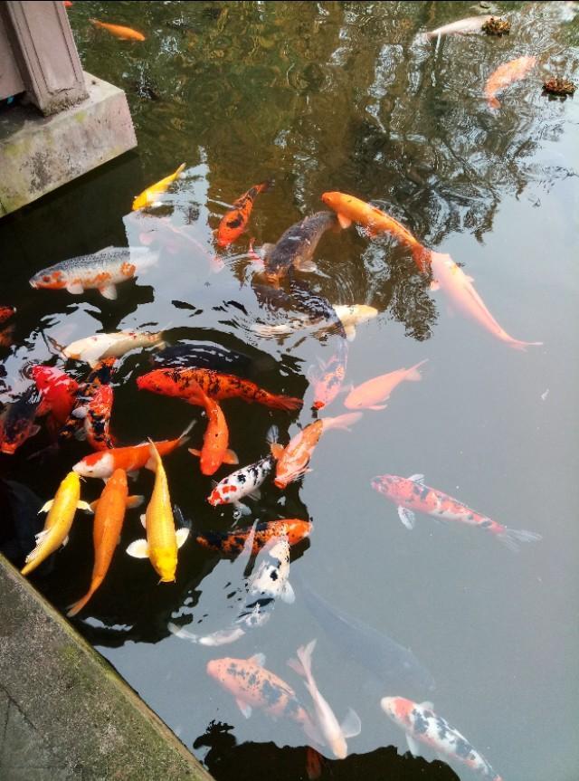 初三成绩还能提高吗？如何提高？