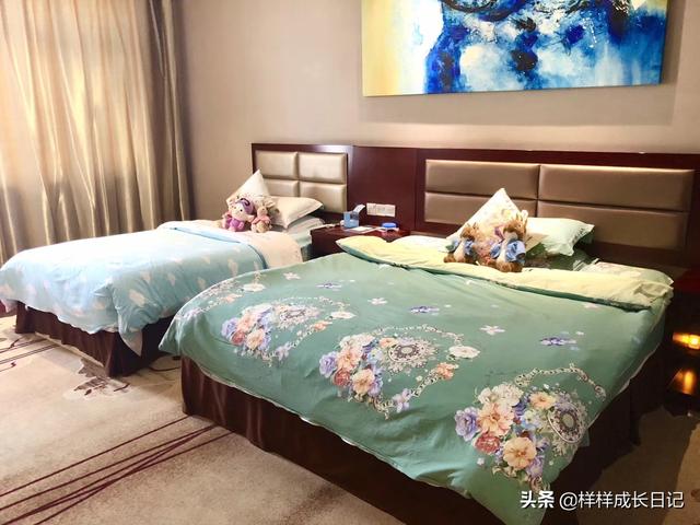 河北邢台伊萨狗粮反馈:如果一家三口西藏自驾游，那么资金预算得多少？