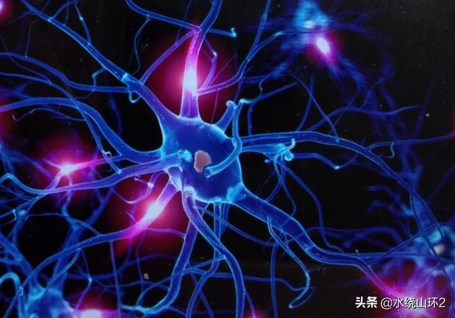神经遗传病有哪些症状:神经病是指什么？情绪不好会得病吗？