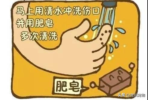 被家猫抓伤一定要打针吗:请问如果被家猫抓伤了手指要打针吗？