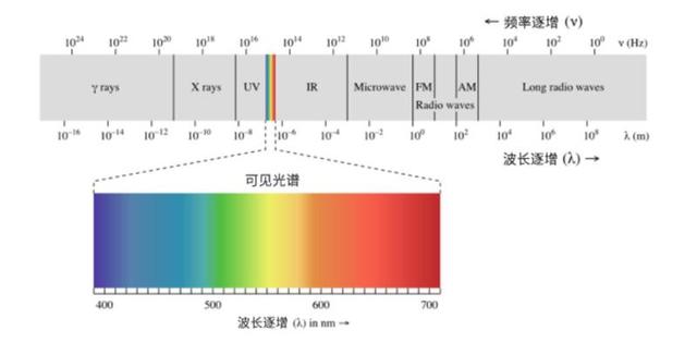 网站服务器带宽下载速度（100兆的网速快不快）