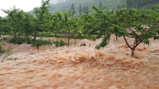 头条问答 - 什么叫百年一遇的暴雨洪水?是100年才有一次吗?(5个回答)