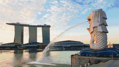 新加坡的主要经济来源是什么？为什么经济很发达？