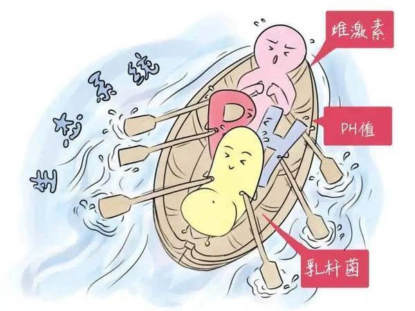 算命说生男生女能信吗,生男生女由谁决定？为什么？