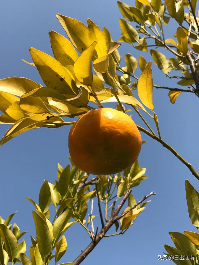 家住别墅是什么样的感觉？插图115