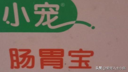 盛来知老年犬粮:老年人养狗有什么样的好处？ 盛来知老年犬粮怎么样