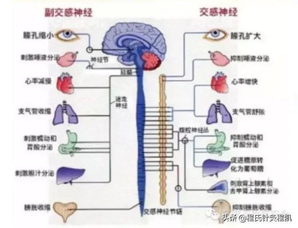 亳州按摩<a href=https://maguai.com/personal/ target=_blank class=infotextkey><a href=https://maguai.com/group/ target=_blank class=infotextkey>微信群</a></a>:能不能说说你经历过农村骗局或者你知道的？给大家提个醒？(翟红鹰骗局)