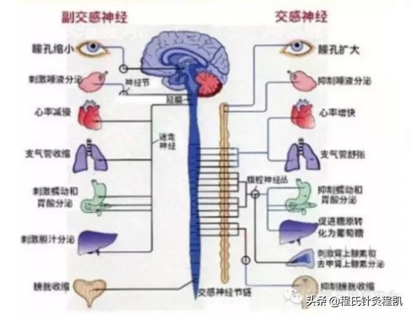 抑郁症治愈的感言-抑郁症严重的可以全治愈吗