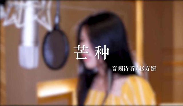 芒种歌词:哪些歌的歌词狗屁不通但是很火