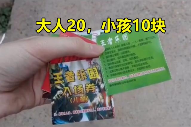 王者荣耀“最坑”主题乐园火了,小学生体验10分钟后崩溃：“太抽象”,你有何看法？