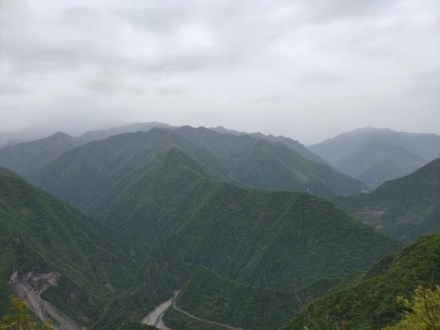 新藤惠美:地里长了许多葛根藤，怎么清除？
