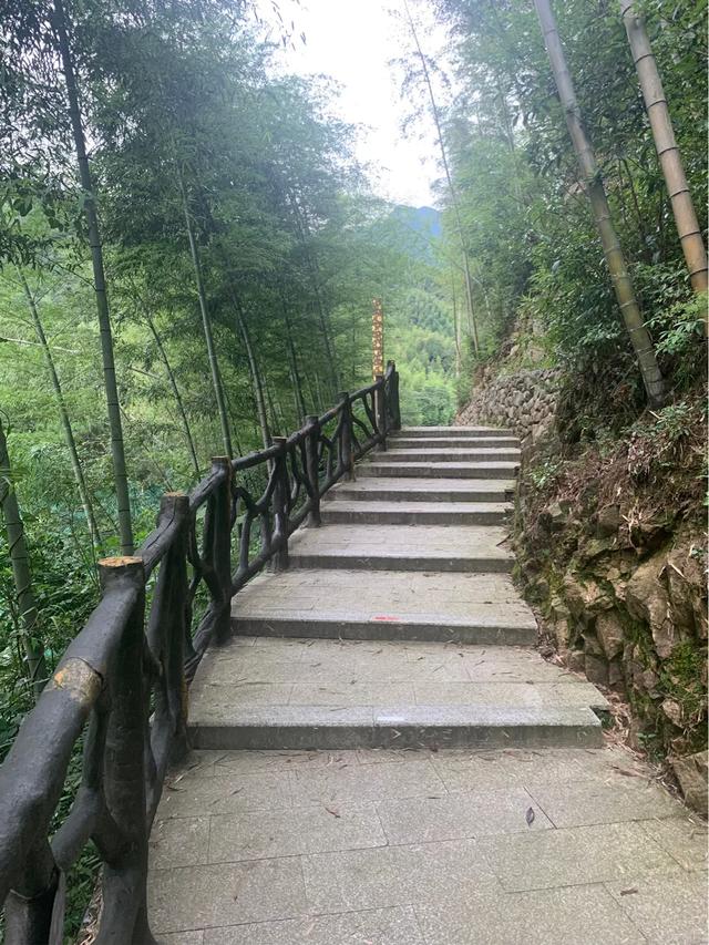 腰椎间盘突出的锻炼(腰椎间盘突出的锻炼操)