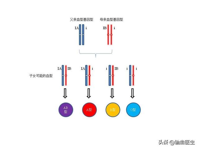 头条问答 老公血型是a型 老婆血型是b型 那生出的小孩是什么血型 7个回答