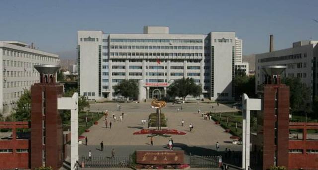 像新疆大学,石河子大学这样的211学校毕业后能进华为这样的大公司吗？