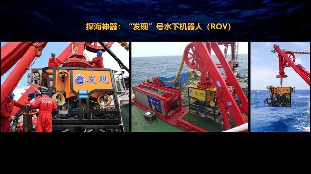 深海狮子鱼:下潜11034米深的马里亚纳海沟，科学家到底发现了什么生物？