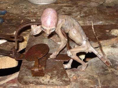 科教频道怪兽之谜真的假的，墨西哥曾发现“外星婴儿”，这是真的吗