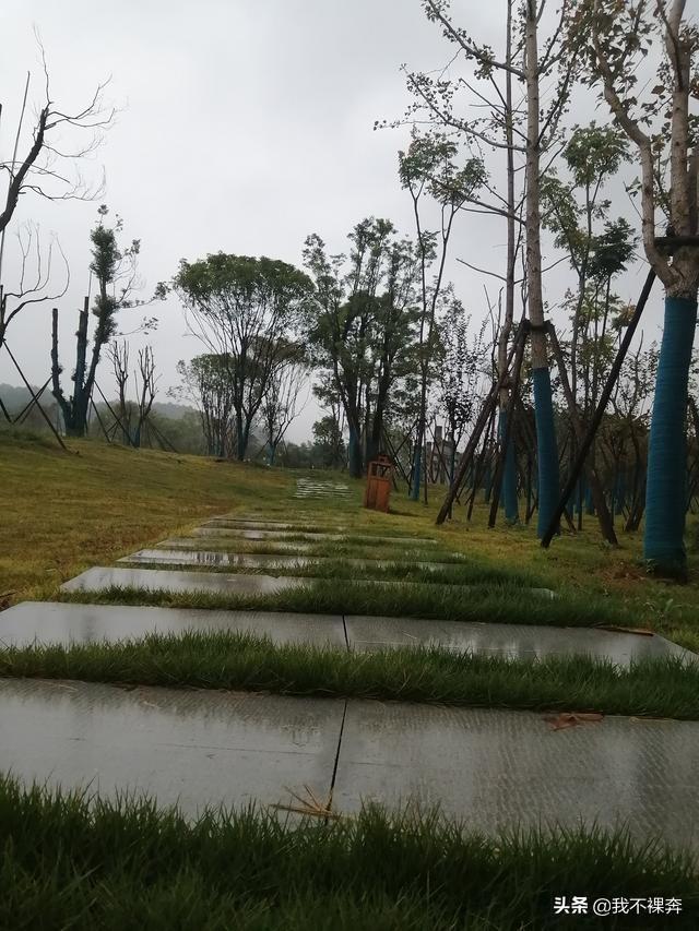 周扬青花九年在罗志祥身上,还是错付了青春,这世界还有好男人吗？