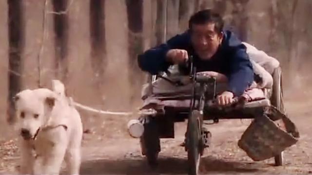 改变世界的犬类国语:动物题材类电影，你认为最为经典的是哪一部？