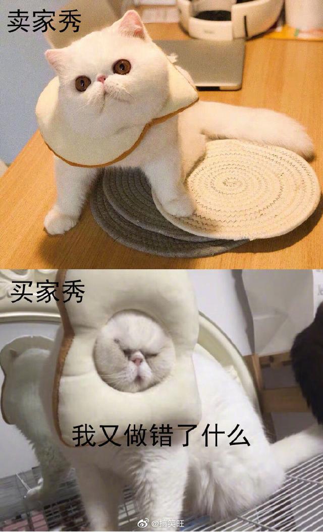 <a href=https://maguai.com/list/256-0-0.html target=_blank class=infotextkey>朋友圈</a>图片配图<a href=https://maguai.com/list/39-0-0.html target=_blank class=infotextkey>搞笑</a>:你看到过哪些<a href=https://maguai.com/list/39-0-0.html target=_blank class=infotextkey>搞笑</a>段子，图片，<a href=https://maguai.com/list/39-0-0.html target=_blank class=infotextkey>搞笑</a>GIF动图，能分享一下吗？(爆笑动图笑到你肚子疼)