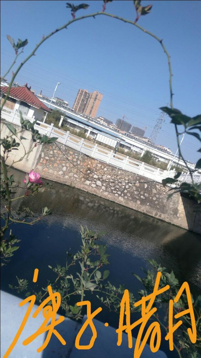 如何看待韩国演员宋侑庭自杀这件事？明星自杀事件何时休？