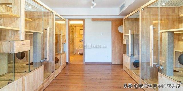 猫舍和宠物店区别:家庭猫舍和宠物店的区别 大家都有养宠物么？猫与狗你们会选择哪个作为宠物呢？