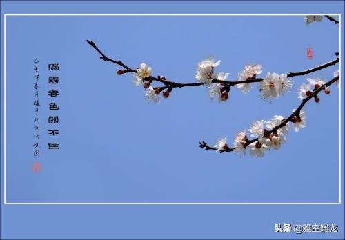 真德秀:《游园不值》表达了诗人怎样的情感？