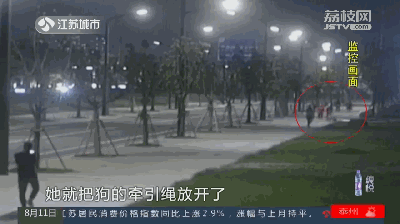 抚顺禁狗令:你对最近全国陆续推出的“禁狗令”怎么看？