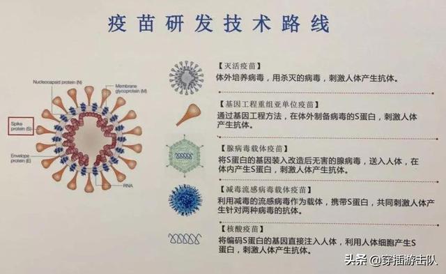 商道 美国辉瑞:辉瑞公司在医药届是什么级别的存在？