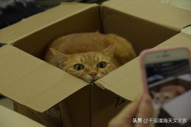 斯塔特勒酒店灵异事件:我想开一家宾馆，如何了解本地酒店的开房率？