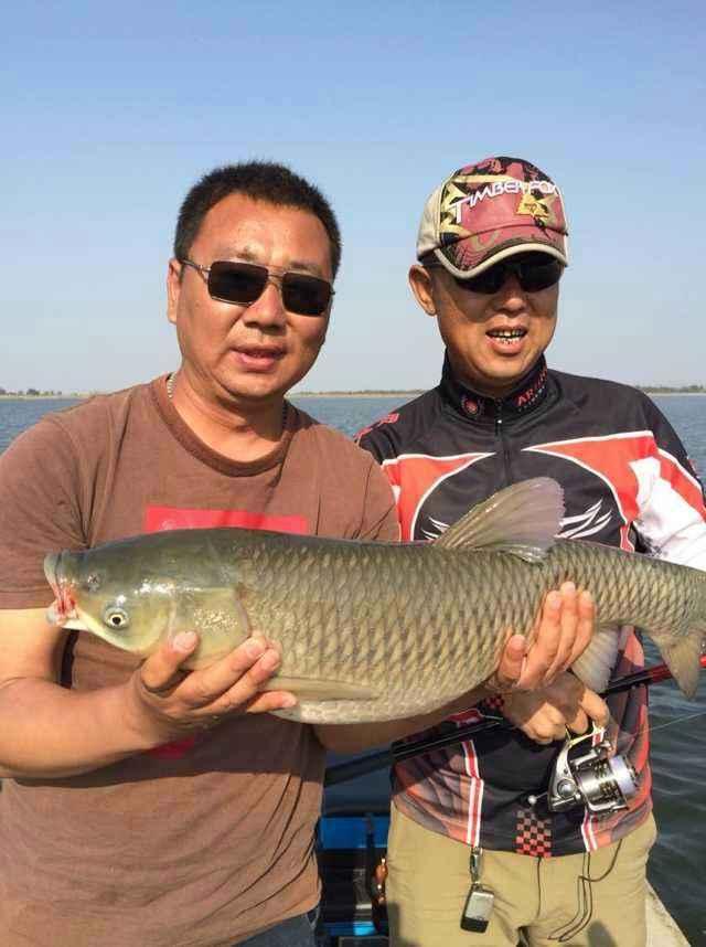 钩尖江湖小崔，崔秉亮对中国钓鱼做出过什么重大贡献，能举例说明？
