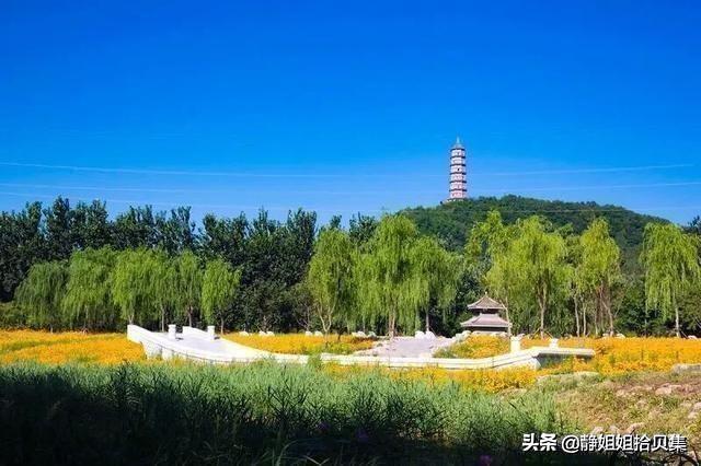 通州大运河森林公园南门停车场:北京市区有哪些绿化比较好、有大面积水域的免费公园？