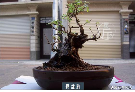 培新机械:工业机器人专业有哪些就业方向？