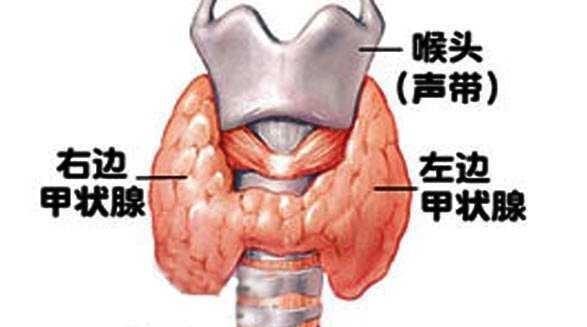 甲状腺机能亢进如何治疗:甲状腺功能亢进怎么治疗最好 甲亢的克星食物是哪些食物？