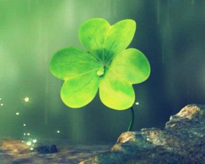 为了千粉,慢慢失去了初心,这样的你,会认可自己吗？