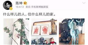 陈坤的妻子:陈坤、杨丽萍这类带有艺术气息的明星，他们的家是怎样的？