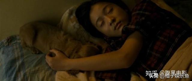 狗狗充满了我的子宫电影:狗十三这部电影是很多家庭的表现，你们曾遭遇过什么呢？