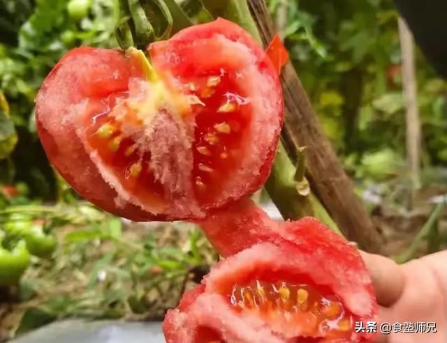喂狗吃辣子鸡博主回应争议:你是明白了哪几个基本原理之后而厨艺大增的？