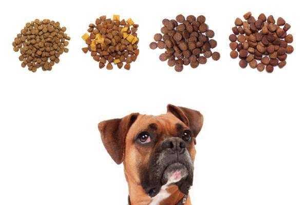 威索狗粮好吗:狗狗吃狗粮，营养真的很好吗？