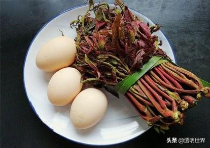 河南农村即将消失的野菜,作为90后的你吃过哪几种？