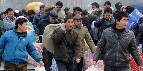 定西地震惊现狗坚强:地震前，猫猫狗狗会有什么特殊的反应？