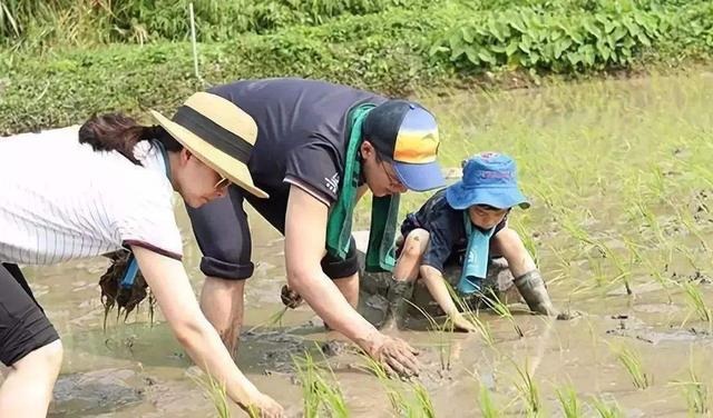 曝唐艺昕顺利生女:如何看待网曝王宝强将结婚，女方是白富美，马蓉的闺蜜转发祝福