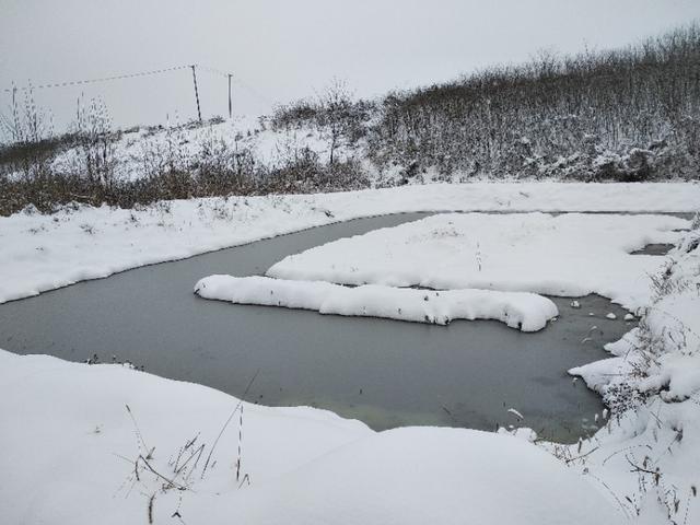 福建日本对虾苗:下雪对养殖小龙虾有影响吗？