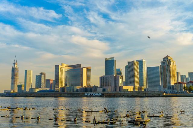 天津市滨海新区和上海浦东新区级别一样吗？