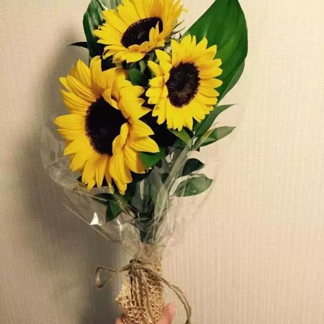 晚安说说句子190329：愿你人生的最开心，永远被最爱的人刷新